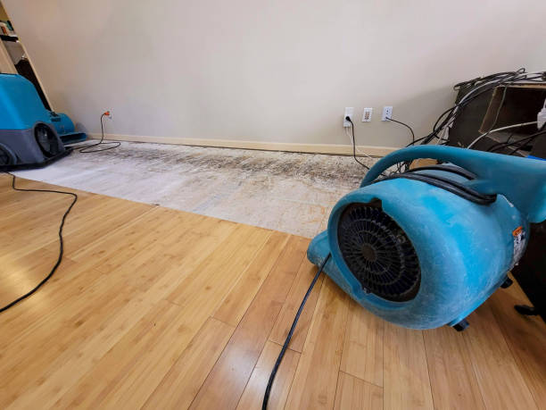 Professional Structural Drying technician working in Elwood, KS